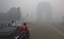 Ô nhiễm không khí đe dọa sự phát triển trí não của hơn 17 triệu trẻ em toàn cầu