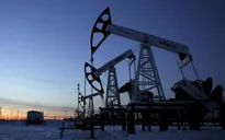 Mức độ tuân thủ thỏa thuận cắt giảm sản lượng của OPEC đạt 95%