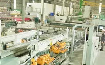 Vật liệu thân thiện với môi trường - Xu hướng của kiến trúc hiện đại