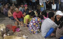 Triệt phá trường đá gà quy mô lớn tại Đồng Nai