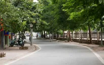 Hà Nội: Hoãn tổ chức phố đi bộ Trịnh Công Sơn đến tháng 10