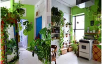 Ngỡ ngàng với không gian xanh mướt trong căn hộ hơn 100m2