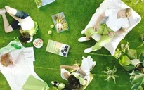Xanh lá cây - Màu sắc chủ đạo của năm 2017