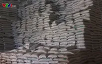 Chấn chỉnh hoạt động cấp phép sản xuất phân bón