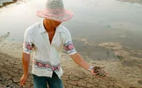 Tăng diện tích nuôi tôm trên cát lên 4.500ha vào năm 2020