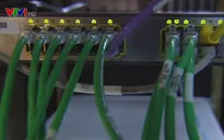 9.000 máy chủ chứa phần mềm độc hại ở Đông Nam Á