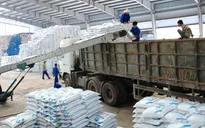 Thay đổi phương thức quản lý phân bón