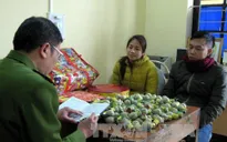 Hải Dương: Xử lý nhiều đối tượng sử dụng pháo nổ trái phép