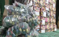 Tăng cường kiểm tra, đấu tranh với những vi phạm về pháo dịp cận Tết
