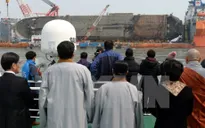Hàn Quốc: Di hài được tìm thấy từ phà Sewol không phải của người