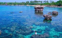 Đến đảo Hòn Yến mùa nước cạn ngắm san hô nổi trên mặt nước