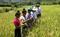 Sẽ bổ sung biên chế cho các Phó Chủ tịch xã tại 9 tỉnh