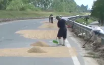 Mất an toàn giao thông do... phơi lúa trên đường