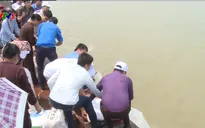 Không nên phóng sinh các sinh vật có hại