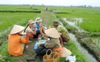 Giản dị bữa cơm ngoài đồng của người nông dân