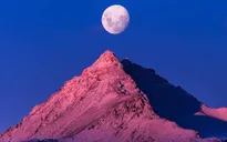 Những khung cảnh kỳ thú chỉ có tại New Zealand