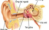 Phương pháp chỉnh sửa gen mới có thể ngăn chặn khiếm thính