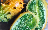 Những loại quả hiếm có trên thế giới rất ngon và lạ