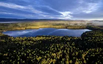 Cảnh mùa thu tuyệt đẹp ở Scotland nhìn từ trên cao
