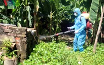 Một số địa điểm ở Hà Nội chưa phun thuốc phòng chống sốt xuất huyết