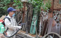 Thiếu sự phối hợp trong phòng chống sốt xuất huyết