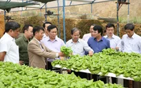 Nông dân đã sẵn sàng với nông nghiệp 4.0