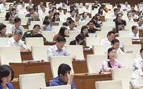 Quốc hội thảo luận dự Luật Bảo vệ và phát triển rừng (sửa đổi)