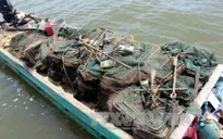 Quảng Ninh: Thu giữ, tiêu hủy các công cụ khai thác thủy sản trái phép
