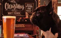 Fox & Hounds - Quán rượu thân thiện với chó nhất nước Anh