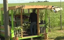 Quầy kinh doanh nông sản dựa vào sự trung thực tại Uruguay