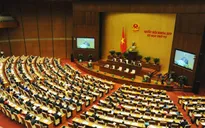 Hôm nay, Quốc hội biểu quyết thông qua Luật Bảo vệ và phát triển rừng (sửa đổi)