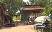 Cấp phép xây dựng tạm cho người dân khu quy hoạch TP.HCM