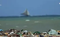 Máy bay không người lái giúp phát hiện rác thải nhựa trên biển