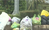 Bức bối ô nhiễm rác tại thị xã Ninh Hòa, Khánh Hòa