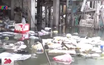 Vũng Tàu: Ô nhiễm cửa biển do xả rác bừa bãi