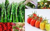 Công nghệ bảo quản rau sạch sau thu hoạch tại Mỹ