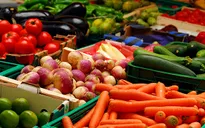 Thúc đẩy tiêu thụ rau, quả chính ngạch sang Trung Quốc