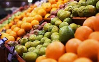 Lần đầu tiên xuất khẩu rau quả vượt dầu thô