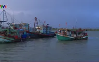 Các tỉnh Nam Trung Bộ chủ động phòng chống thiên tai