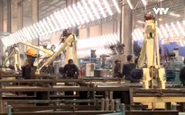 Thị trường robot Việt Nam 2019: Cơ hội và thách thức