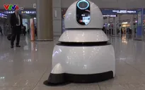 Robot phục vụ du khách tại sân bay Hàn Quốc