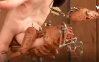 Nghệ sỹ múa rối tay hiện đại tài ba tại Anh