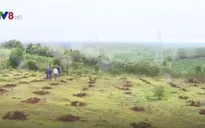 BQL rừng phòng hộ Bắc Biển Hồ: "Phù phép" đất công thành đất tư