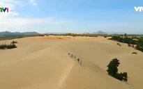 Nông nghiệp sa mạc thích ứng biến đổi khí hậu