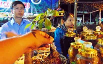 Đưa sâm Ngọc Linh trở thành cây dược liệu có thương hiệu