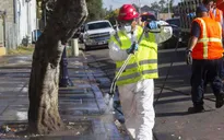 Mỹ: San Diego triển khai vệ sinh đô thị quy mô lớn để trừ dịch bệnh
