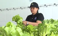 Việt Nam chưa có cơ quan cấp chứng nhận sản phẩm hữu cơ