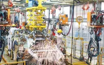 Phát triển kinh tế tư nhân trở thành động lực quan trọng của nền kinh tế
