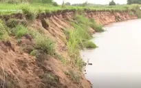 Sạt lở bủa vây Đồng bằng sông Cửu Long