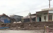 Sạt lở đê biển Tây Cà Mau, hàng nghìn hộ dân bị ảnh hưởng